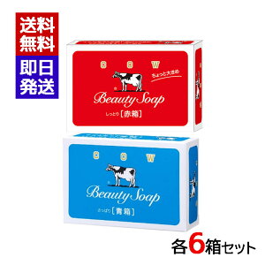 Ό  85g Ԕ 90g e6Zbg Y  p΂  g̐ Sg