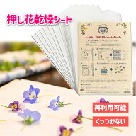 オーアールエス 押し花 乾燥シート FS-106 おし花 しおり 栞 スマホケース ネイル 絵はがき フラワーアー…