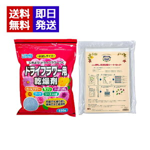 hCt[p VJQ 550g + ԊV[gZbg  t[A[g   u[P