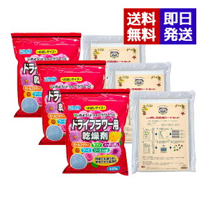 hCt[p VJQ 550g + ԊV[g e3Zbg t[A[g   