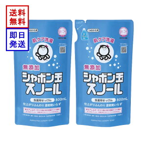 V{ Xm[t̃^Cv ߂p 800ml 2܃Zbg Ό  I[KjbN