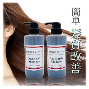 PvX NC[wAVv[ 450ml 2{Zbg mVR Vv[ eꔄ _[WwA wAPA {[Abv