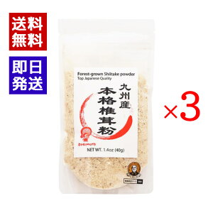 BY{iő 40g 3܃Zbg ő Y   炦 {X