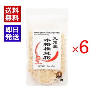 BY{iő 40g 6܃Zbg ő Y   炦 {X