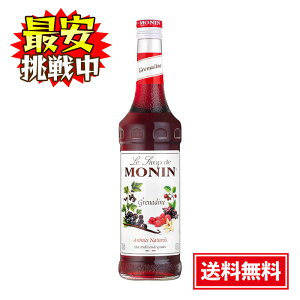 i OifB Vbv 700ml mAR[ MONIN Ăَq ACX W[X mA JNe