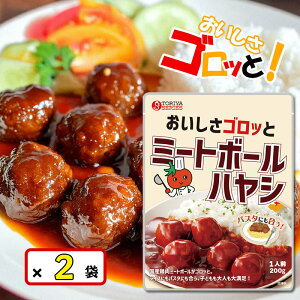 レトルト食品 常温保存 ミートボールハヤシ 200g 2袋セット 国産鶏肉 ボリューム満点 電子レンジ 簡単調理 鶏屋シリーズ トリゼンフーズ