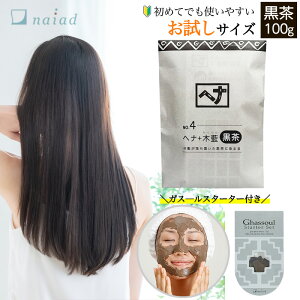 iCA[h wi+ؗ  (No.4) 100g { KX[ X^[^[Zbg wAJ[  g[gg DpbN NCpbN