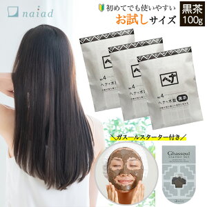 iCA[h wi+ؗ  (No.4) 100g 3܁{ KX[ X^[^[Zbg wAJ[  g[gg DpbN NCpbN