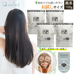 iCA[h wi+ؗ  (No.4) 100g 4 { KX[ X^[^[Zbg wAJ[  g[gg DpbN NCpbN