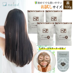 iCA[h wi+ؗ  (No.3) 100g 4܁{ KX[ X^[^[Zbg wAJ[  g[gg DpbN NCpbN