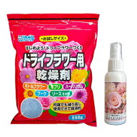 ドライフラワー用乾燥剤 シリカゲル 550g＋コーティング剤50ml 豊田化工 ハンドメイド ブーケ 細粒 リリ…