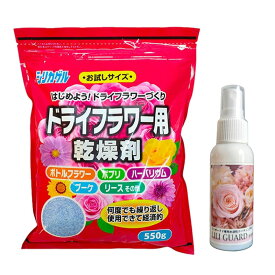 ドライフラワー用乾燥剤 シリカゲル 550g＋コーティング剤50ml 豊田化工 ハンドメイド ブーケ 細粒 リリガード