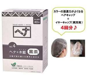  wAJ[ wi+ؗ  (No.4) 400g ѐ J[O wALbv C[Lbv 4񕪃v[g iCA[h