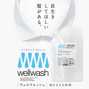 wellwash 海をまもる洗剤 クリーニング屋が開発した洗剤 600ml パウチタイプ 詰め替え用 無香料 洗濯洗剤 服を傷めない 環境に負担をかけない SDGs