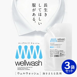 wellwash 海をまもる洗剤 クリーニング屋が開発した洗剤 600ml 3袋セット パウチタイプ 詰め替え用 無香料 洗濯洗剤 服を傷めない 環境に負担をかけない SDGs