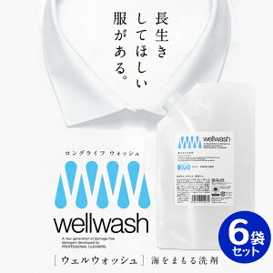 wellwash 海をまもる洗剤 クリーニング屋が開発した洗剤 600ml 6袋セット パウチタイプ 詰め替え用 無香料 洗濯洗剤 服を傷めない 環境に負担をかけない SDGs