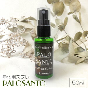 pTg 򉻃Xv[ 50ml sAq[O~Xg h   ԏ p[Xg[