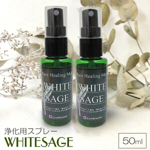 zCgZ[W 򉻃Xv[ 50ml × 2{Zbg sAq[O~Xg   p[Xg[ K