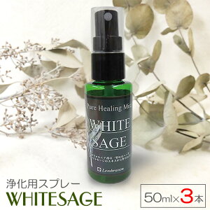 zCgZ[W 򉻃Xv[ 50ml × 3{Zbg sAq[O~Xg   p[Xg[ K