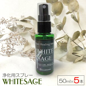 zCgZ[W 򉻃Xv[ 50ml × 5{Zbg sAq[O~Xg   p[Xg[ K