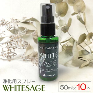 zCgZ[W 򉻃Xv[ 50ml × 10{Zbg sAq[O~Xg  ԏ p[Xg[