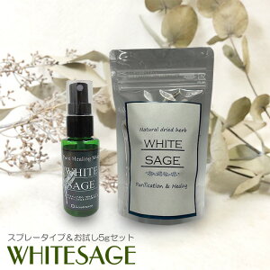 zCgZ[W 򉻃Xv[ hCn[uZbgsAq[O~Xg  ԏ p[Xg[