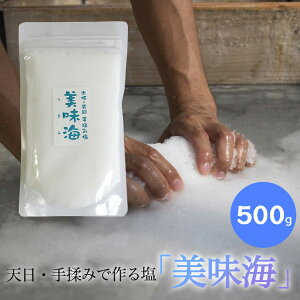 V C 500g ܂ CH[ VRC Y  VR mY 