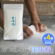 天日塩 美味海 500g 4袋セット うまみ 海工房 天日自然海塩 国産 塩 天然 高知県産 調味料