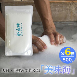 V C 500g 6܃Zbg ܂ CH[ VRC Y  VR mY 