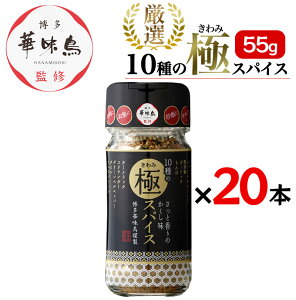 ؖ 10̋ɃXpCX 55g 20{Zbg  XpCX AEghA Lv BBQ   T_ B