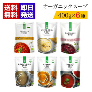 I[KjbNX[v 6e1 AUGA L@؃X[v 400g B[K  X[v ~lXg[l r[c }bV[ Lbg g}g R[