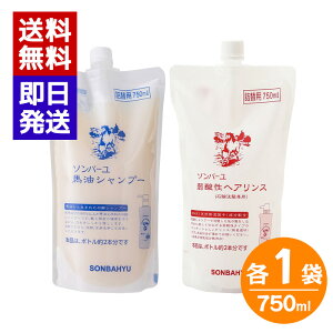 \o[ nVv[ _wAX lփZbg 750ml ΌVv[ Vv[  {fB[\[v X lߑւ t