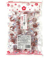 赤城フーズ 種とり カリカリ梅 210g 業務用 熱中症対策 送料無料