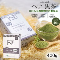 白髪染め ヘナ+木藍 黒茶 (No.4) 400g ヘアカラー 毛染め カラーリング ナイアード naiad