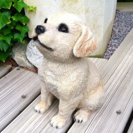 犬の置物 ラブラドール おねだり N15778 いぬ イヌ 動物 オーナメント ガーデン インテリア 雑貨 置物 庭…