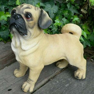 ̒u pO ܂t 9406H  Ck  I[ig K[f IuWF  G K[fjO CeA }XRbg A  fXvB K[fu K[fjOu