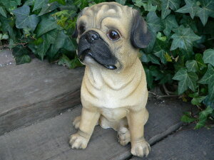 ̒u pO ܂t 9392H  Ck  K[f I[ig IuWF  u K[fjO G A AfXvB