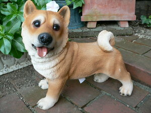 ̒u Č ܂t 9396H  Ck  I[ig K[f IuWF CeA G AfXvB