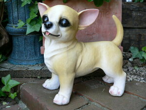 ̒u ` ܂t  2007H  Ck  K[f K[fjO u  IuWF I[ig CeA