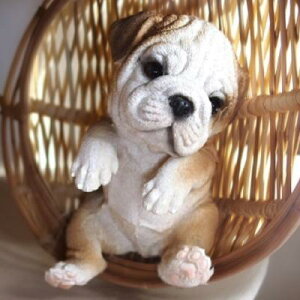 ̒u uhbN nMOhbO 1128QYL  Ck  I[ig K[f IuWF  K[fjO CeA G }XRbg A fXvB Aj}