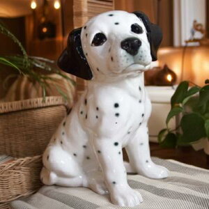 ̒u _VA KC3132 H|  re[W { {u K[f  }XRbg I[ig IuWF  A fBXvB K[fjO AfXvB Aj} 