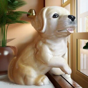 ̒u uh[ KC2426 H|  re[W { {u K[f  }XRbg I[ig IuWF  A fBXvB K[fjO AfXvB Aj} 