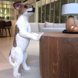 ̒u WbNbZeA MA3740  Ck  I[ig K[f IuWF  G K[fjO CeA G }XRbg A fXvB Aj} K[fG