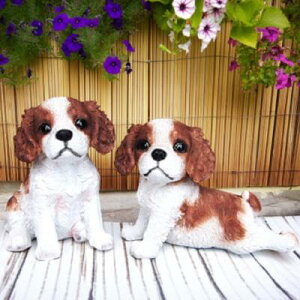 ̒u LoAZ2iZbg N15725  Ck  I[ig K[f CeA G u  K[f}XRbg Gݏ fBXvB  A