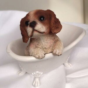 犬の置物 キャバリア」の人気商品一覧・価格比較 - 価格.com