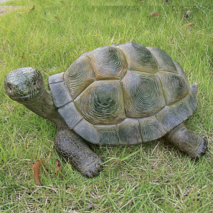 楽天市場】亀の置物 かめ カメ タートル 9565H 動物 置物 玄関  