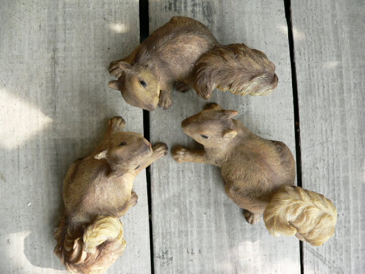 楽天市場】りすの置物 木登りリス3匹セット N11122 動物 