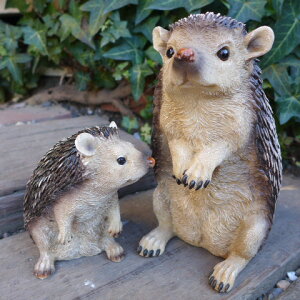 j˂݂̒u nlY~2iZbg 3649E50-00 I[ig IuWF K[f K[fjO CeA }XRbg Aj} G fBXvB A 