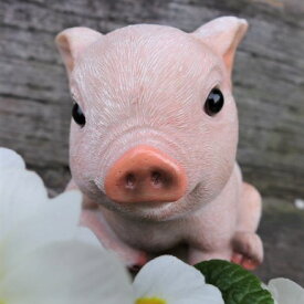 楽天市場 豚の置物の通販
