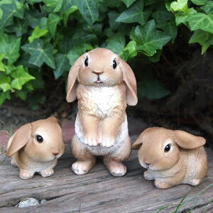 ̒u ꎨ̐eq3iZbg 8184E83HHI[ig K[f IuWF K[fjO CeA G fBXvC   ETM A z[fR[V AI[